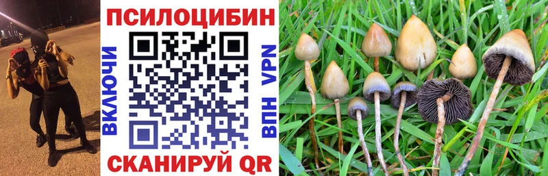 Галлюциногенные грибы MAGIC MUSHROOMS  где продают наркотики  Кингисепп 