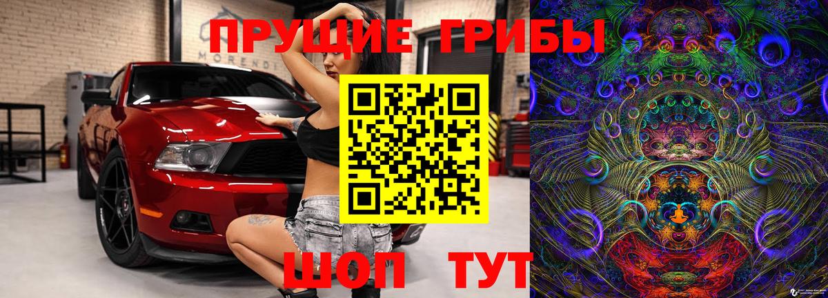 Псилоцибиновые грибы мицелий  Вход с VPN  Галлюциногенные грибы GOLDEN TEACHER  Кингисепп 