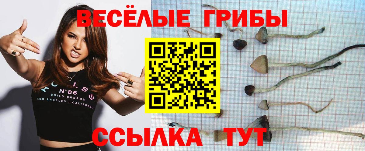 Псилоцибиновые грибы MAGIC MUSHROOMS Кингисепп