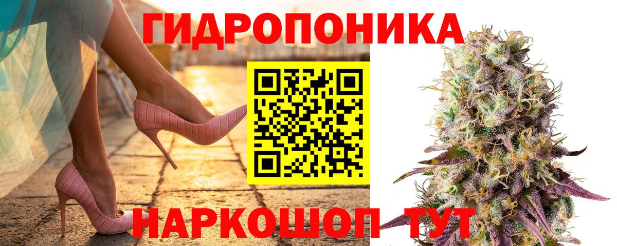 Канабис SATIVA & INDICA Кингисепп